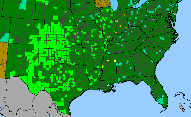 The range of Proboscidea louisiana